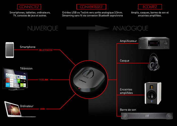 Audioquest Beetle2