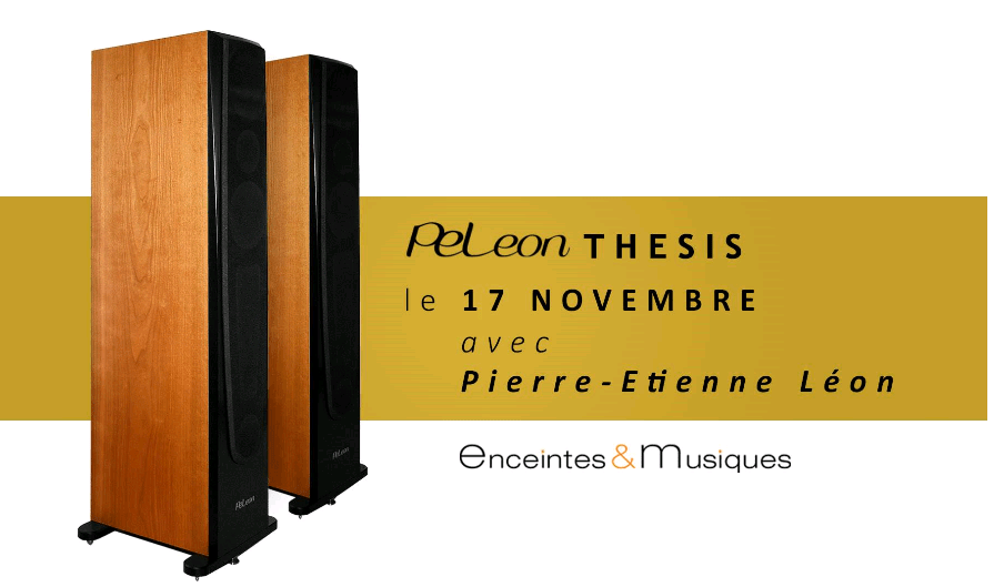 THESIS présentation2